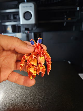 Hermit Crab Keychain